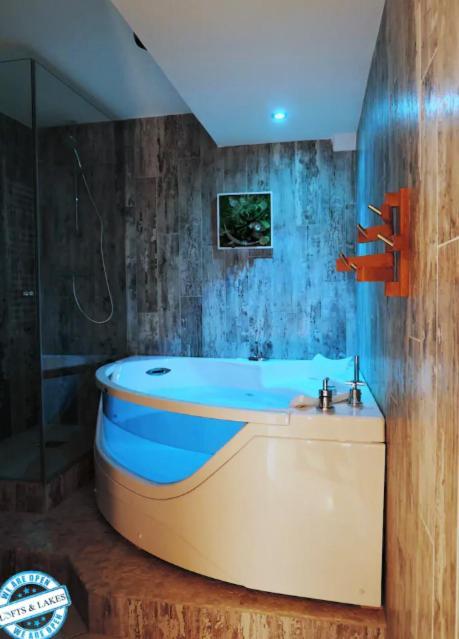 Le Cocon - Lofts & Lakes Certified 4-Stars آنسي المظهر الخارجي الصورة