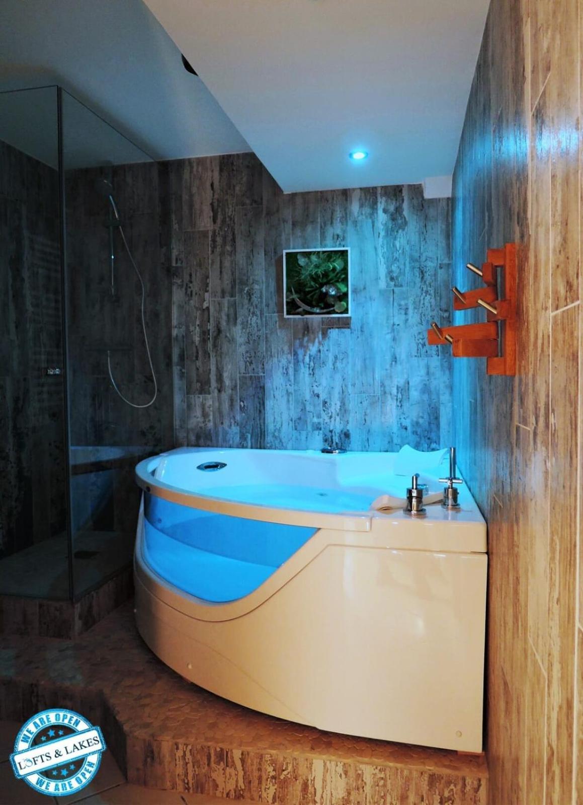 Le Cocon - Lofts & Lakes Certified 4-Stars آنسي المظهر الخارجي الصورة